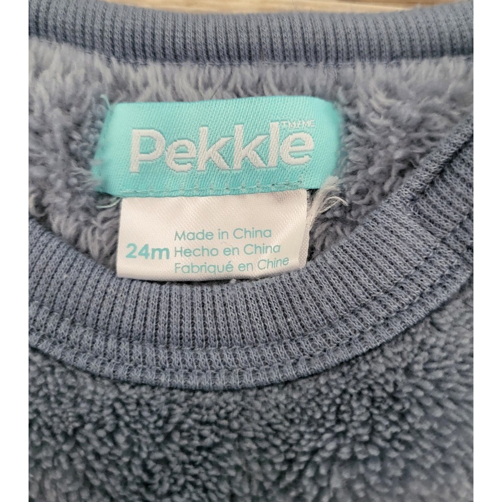 Dinosaur Pekkle Kids Fleece Sweater Top 24 Months Boys Blue Brontosaurus Shirt - Picture 2 of 2